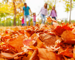 Image for TOP 10 FALL PEST PROOFING TIPS