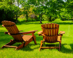 Image for TOP 10 TIPS FOR A PEST-FREE SUMMER