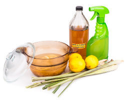 Image for DO NATURAL PEST CONTROL SOLUTIONS WORK?