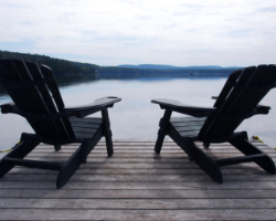 Image for MEET THE OUTDOOR COCKROACH - THE WOOD ROACH